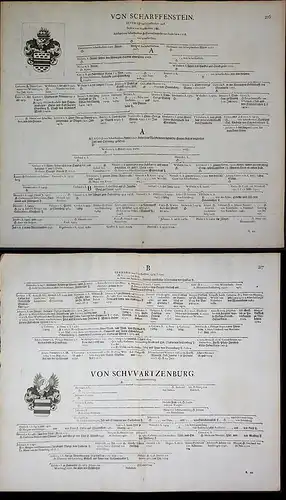 Von Scharffenstein - Scharffenstein Wappen Stammtafel Kupferstich coat of arms family tree Genealogie genealog