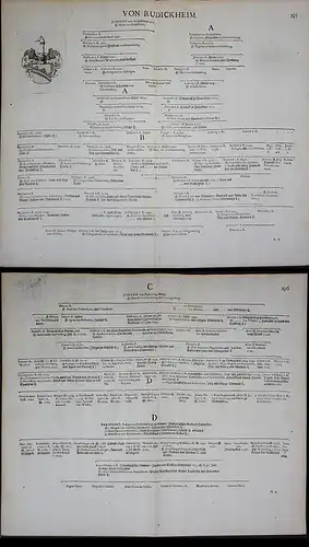 Von Rudickheim - Rudickheim Wappen Stammtafel Kupferstich coat of arms family tree Genealogie genealogy Herald