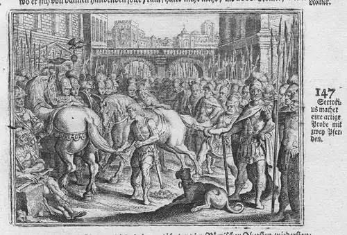 Sertorius machet eine artige Probe mit zwey Pferden - Quintus Sertorius Pferde horses Antike antiquity