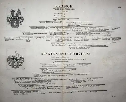 Kranch Von Kirchheim - Wappen Stammtafel Kupferstich coat of arms family tree Genealogie genealogy Heraldik he