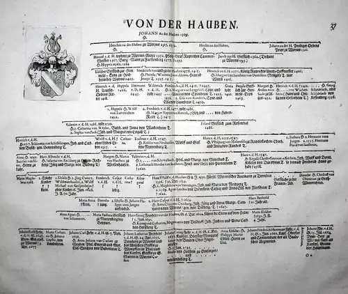 Von Der Hauben - Wappen Stammtafel Kupferstich coat of arms family tree Genealogie genealogy Heraldik heraldry