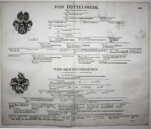 Von Duttelsheim - Wappen Stammtafel Kupferstich coat of arms family tree Genealogie genealogy Heraldik heraldr