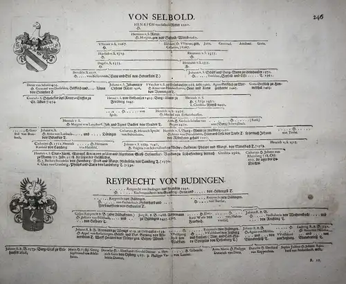 Von Selbold - Wappen Stammtafel Kupferstich coat of arms family tree Genealogie genealogy Heraldik heraldry