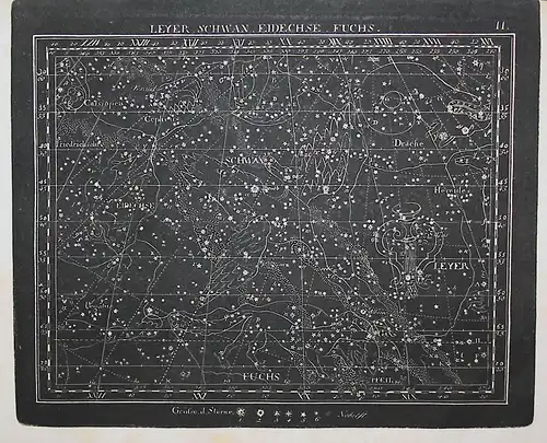 Leyer, Schwan, Eidechse, Fuchs - Eidechse Fuchs Schwan Leyer Kupferstich Himmelskarte Sternenkarte Sternkarte