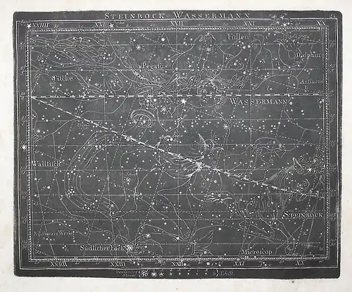 Steinbock Wassermann - Wassermann Steinbock Kupferstich Himmelskarte Sternenkarte Sternkarte Sternzeichen Tier