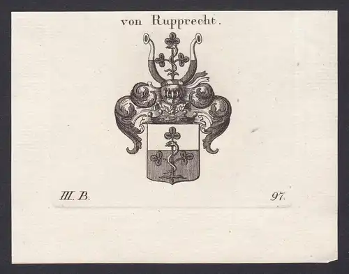 Von Rupprecht - Rupprecht Bayern Wappen Adel coat of arms heraldry Heraldik Kupferstich antique print