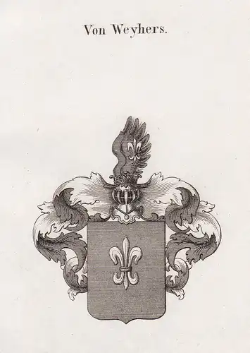 Von Weyhers - Weyhers Ebersburg Fulda Hessen Wappen Adel coat of arms heraldry Heraldik Kupferstich antique pr