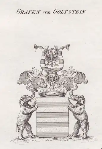 Grafen von Goltstein - Goltstein Goldstein Rheinland Wappen Adel coat of arms heraldry Heraldik Kupferstich an