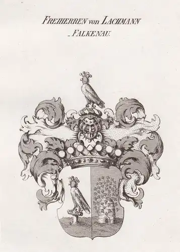 Freiherren von Lachmann-Falkenau - Lachmann-Falkenau Wappen Adel coat of arms heraldry Heraldik Kupferstich an