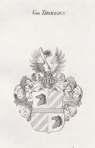 Von Thomasius - Thomasius Wappen Adel coat of arms heraldry Heraldik Kupferstich antique print