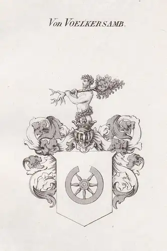 Von Voelkersamb - Fölkersahm Niedersachsen Wappen Adel coat of arms heraldry Heraldik Kupferstich antique prin
