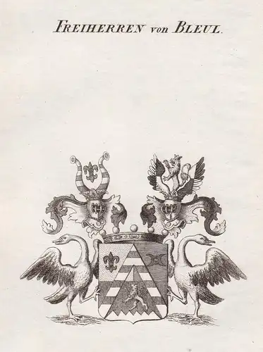 Freiherren von Bleul - Bleul Wappen Adel coat of arms heraldry Heraldik Kupferstich antique print