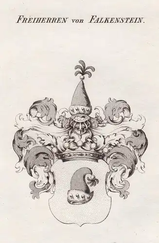 Freiherren von Falkenstein - Falkenstein Wappen Adel coat of arms heraldry Heraldik Kupferstich antique print