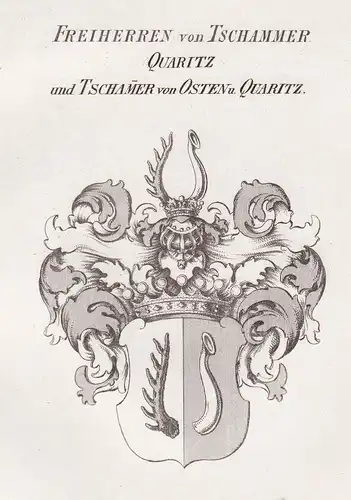 Freiherren von Tschammer Quaritz und Tschamer von Osten u. Quaritz - Tschammer-Osten Quaritz Wappen Adel coat