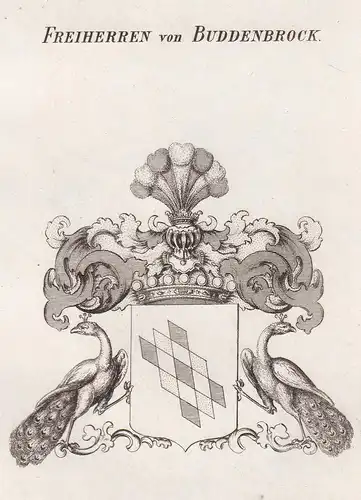 Freiherren von Buddenbrock - Buddenbrock Deutsch-Balten Wappen Adel coat of arms heraldry Heraldik Kupferstich