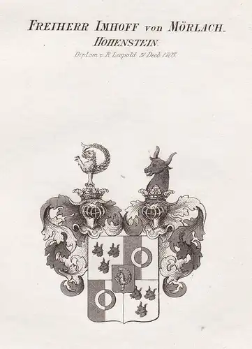 Freiherr Imhoff von Mörlach-Hohenstein. Diplom v. K. Leopold 31  Decb. 1703 - Imhoff Imhof Mörlach Hohenstein