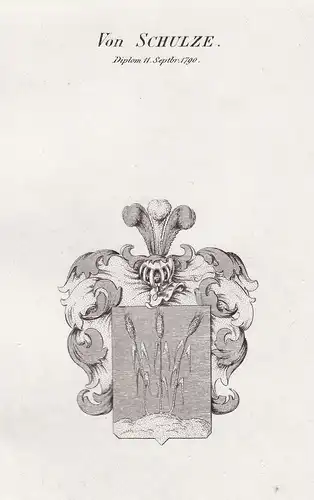 Von Schulze. Diplom 11. Septbr. 1790 - Schulze Schultze Wappen Adel coat of arms heraldry Heraldik Kupferstich