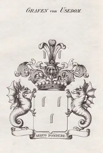 Grafen von Usedom - Usedom Pommern Rügen Wappen Adel coat of arms heraldry Heraldik Kupferstich antique print