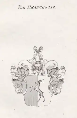 Von Draschwitz - Draschwitz Traschwitz Wappen Adel coat of arms heraldry Heraldik Kupferstich antique print
