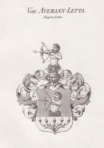 Von Avemann-Letta. Jüngere Linie - Avemann-Letta Wappen Adel coat of arms heraldry Heraldik Kupferstich antiqu