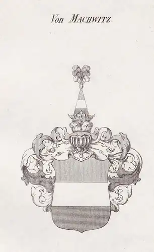 Von Machwitz - Machwitz Vogtland Wappen Adel coat of arms heraldry Heraldik Kupferstich antique print