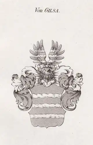 Von Gilsa - Gilsa Hessen Wappen Adel coat of arms heraldry Heraldik Kupferstich antique print