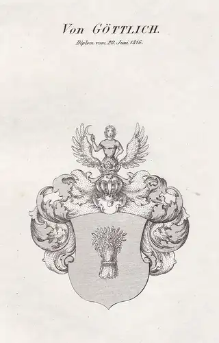 Von Göttlich. Diplom vom 20. Juni 1816 - Goettlich Göttlich Wappen Adel coat of arms heraldry Heraldik Kupfers