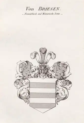 Von Briesen - Neumärkisch und Weimarische Linie - Briesen Neumark Weimar Wappen Adel coat of arms heraldry Her