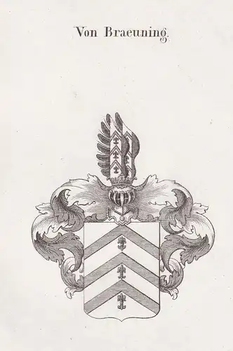 Von Braeuning - Bräuning Braeuning Wappen Adel coat of arms heraldry Heraldik Kupferstich antique print