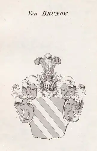 Von Brunow - Brunow Wappen Adel coat of arms heraldry Heraldik Kupferstich antique print