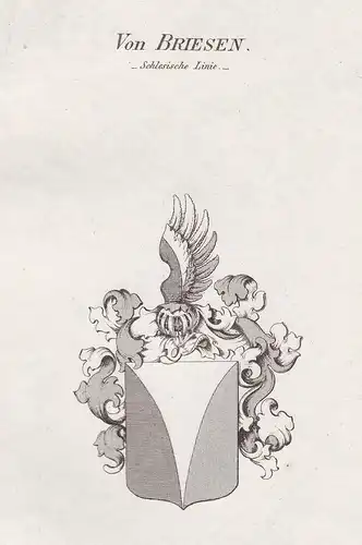 Von Briesen - Schlesische Linie - Briesen Schlesien Wappen Adel coat of arms heraldry Heraldik Kupferstich ant