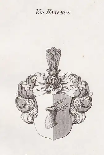 Von Hanfmus - Hanfmus Wappen Adel coat of arms heraldry Heraldik Kupferstich antique print