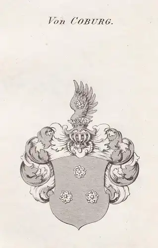 Von Coburg - Coburg Wappen Adel coat of arms heraldry Heraldik Kupferstich antique print