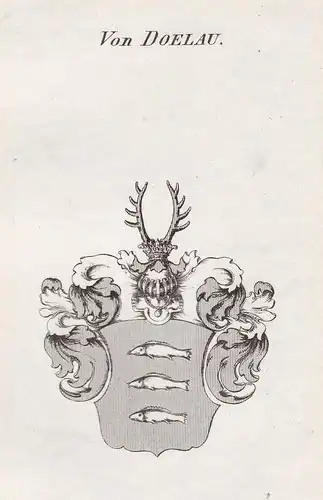 Von Doelau - Dölau Doelau Wappen Adel coat of arms heraldry Heraldik Kupferstich antique print