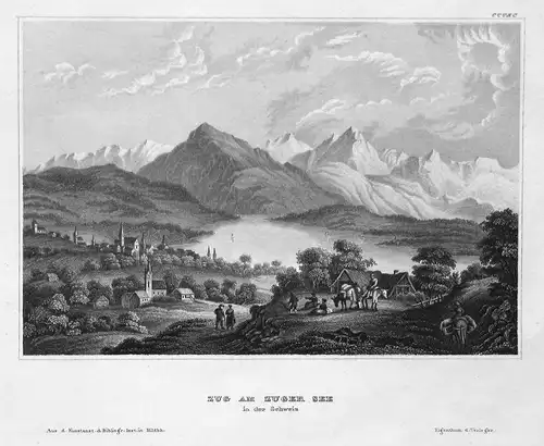 Zug am Zuger See in der Schweiz - Zugersee Zug Schweiz Svizzera Suisse Ansicht view Stahlstich steel engraving