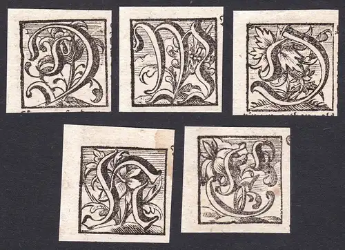 Konvolut von 5 Ornament Kupferstich-Buchstaben ornament letters antique print gravure copper engraving