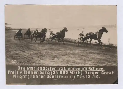 Das Mariendorfer Trabrennen im Schnee. - Trarbrennsport Pferde Berlin Mariendorf Pferderennsport Pferderennen