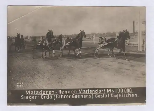 Matadoren-Rennen Mariendorf Mk 100 000. - Pferderennsport Pferderennen Berlin Mariendorf Pferde