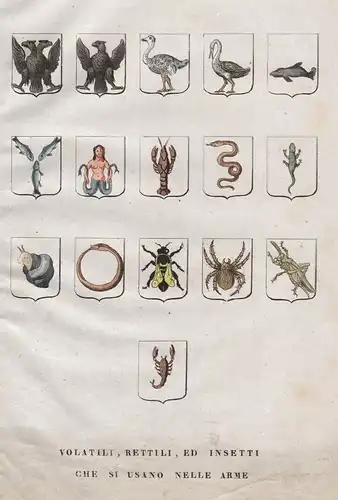 Volatili, Bettili, ed insetti che si Usano Nele Arme - Wappentiere, heraldic animals
