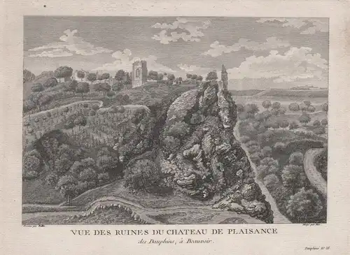 Vue des Ruines du Chateau de Plaisance des Dauphins, a Beauvoir - Beauvoir-en-Royans chateau Isere Auvergne An