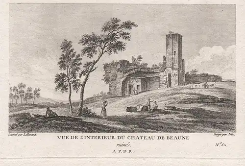 Vue de l'interieu du Chateau de Beaune ruiné - Beaune chateau Cote-d'Or Bourgogne Ansicht view vue