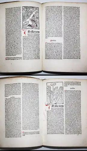 Postilla guillermi super Epistolas et Evangelia de tempore et sanctis Et pro desufunctis. Liber Chronicarum /