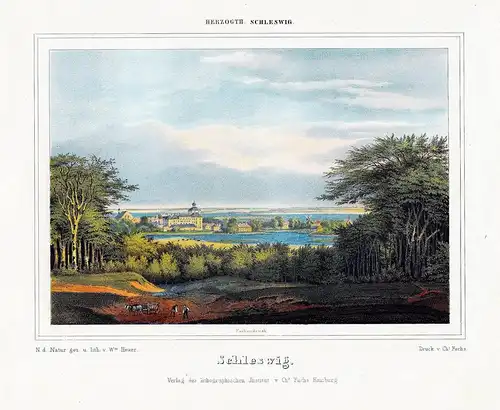 Schleswig. - Schleswig Stadt Ansicht Holstein Lithographie