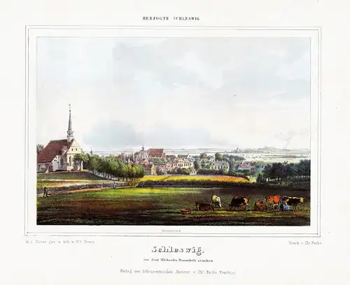 Schleswig von dem Michaelis Bauernhofe gesehen. - Schleswig Stadt Ansicht Holstein Lithographie