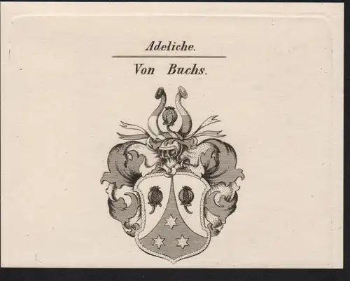 Adeliche Von Buchs Wappen coat of arms Heraldik Kupferstich antique print