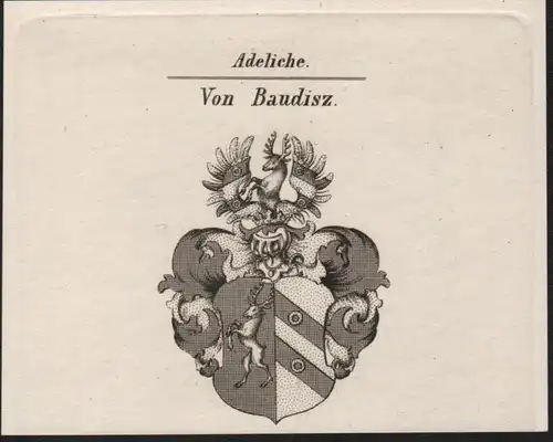 Adeliche Von Baudisz Wappen coat of arms Heraldik Kupferstich antique print