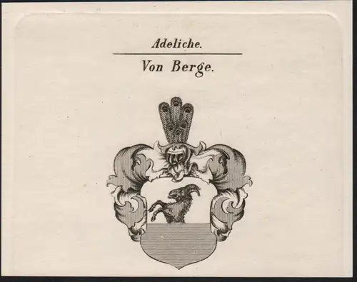 Adeliche Von Berge Wappen coat of arms Heraldik Kupferstich antique print