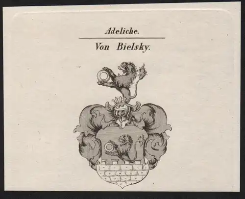 Adeliche Von Bilsky Wappen coat of arms Heraldik Kupferstich antique print