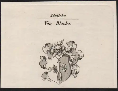 Adeliche Von Blacha Wappen coat of arms Heraldik Kupferstich antique print