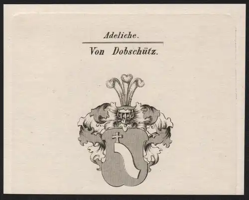 Adeliche von Dobschütz Wappen coat of arms Heraldik Kupferstich antique print